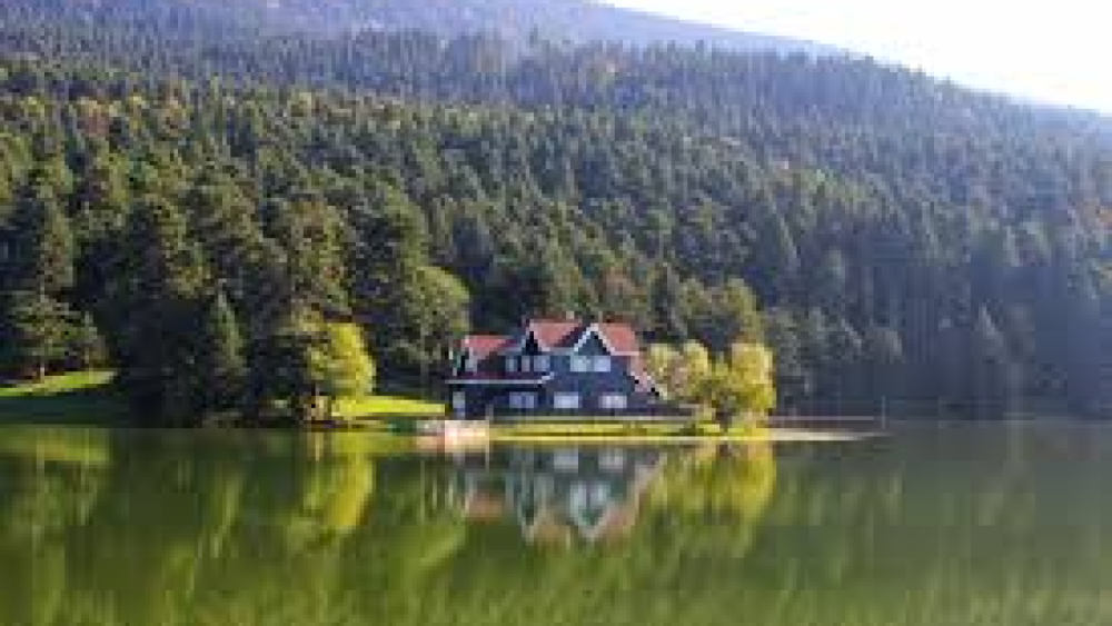 Bolu Medyum – Etkili Çözümler, Güvenli Hizmet